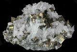 Gleaming Pyrite & Chalcopyrite with Quartz Crystals - Peru #66502-2